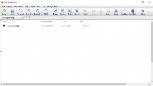 FastStone Capture Latest Full Download