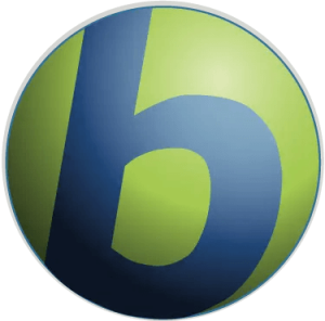 Babylon Pro NG Full Version Download